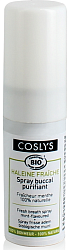 Coslys Спрей-освежитель для полости рта Мята 15 мл